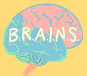 B.R.A.I.N.S. - Becoming Responsible & Aware of the Importance of Neurological Safety